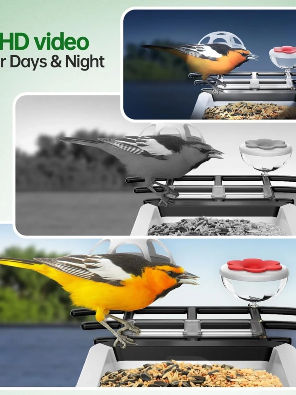 Smart Bird Feeder with Camera - Solar Powered Bird Watching Camera with 2K